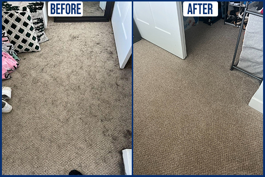 DanniKay Services Carpet Cleaning - Call Today For Your Free Quote!
