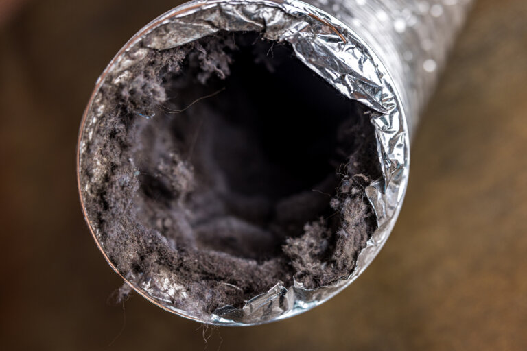 DanniKay Services Dryer Vent Cleaning In Indianapolis