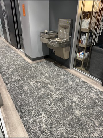Commercial Carpet Cleaning Service in Indianapolis, IN and surrounding areas. Contact us today!